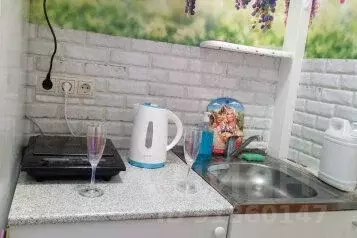 1-к кв. Московская область, Электроугли Богородский городской округ, ...