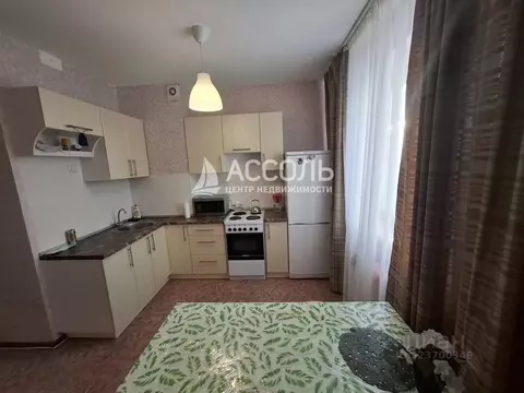 Студия Омская область, Омск ул. Малиновского, 23к1 (33.0 м)