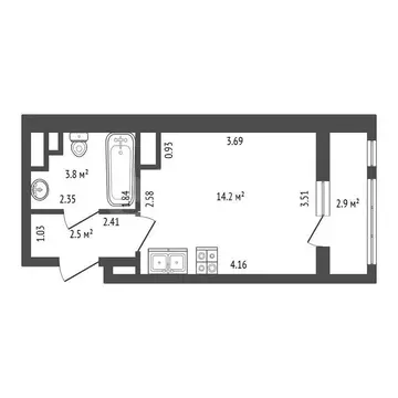 Квартира-студия: посёлок Шушары, Старорусский проспект, 5к2 (20.5 м)