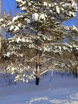 Участок в Московская область, Талдомский городской округ, д. ...