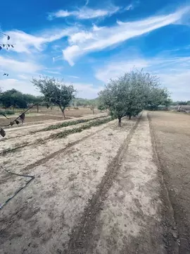 Дом в Краснодарский край, Темрюкский район, Тамань ст-ца Комсомольская ...