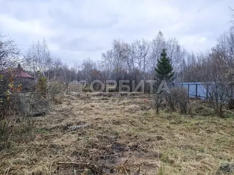 Участок в Тюменская область, Тюмень Плодовое СНТ, 140 (5.0 сот.)