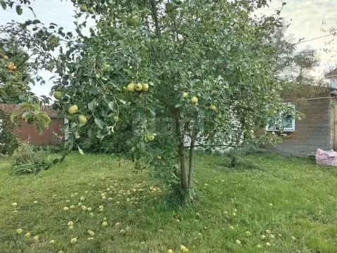 Дом в Вологодская область, д. Ивлево 6 (141 м)