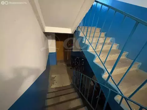 3-комнатная квартира: Боровский, улица Мира, 20 (66.5 м)