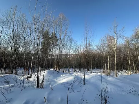 Участок в Иркутская область, Иркутский муниципальный округ, д. ...