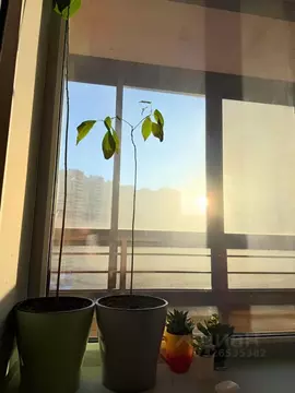 Студия Санкт-Петербург ул. Русановская, 18к3 (25.0 м)