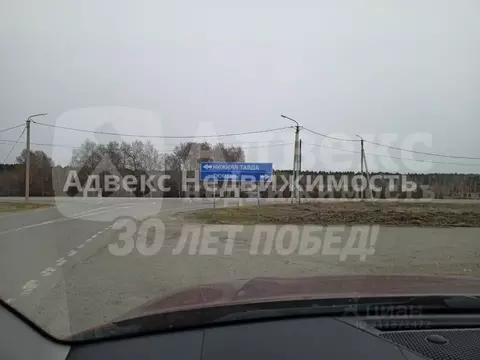 Участок в Тюменская область, Нижнетавдинский район, с. Черепаново  ...