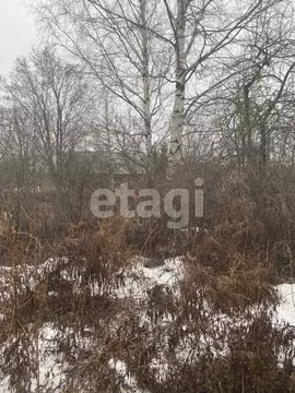 Участок в Вологодская область, Облепиха садоводческое товарищество  ...