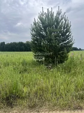 Участок в Тюменская область, Тюменский муниципальный округ, ...