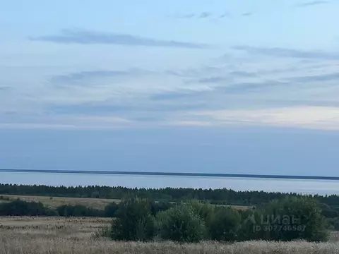 Участок в Вологодская область, Череповецкий район, Мяксинское ...