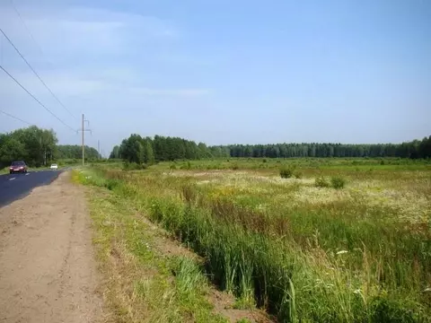 Участок в Владимирская область, Киржачский муниципальный округ, д. ...