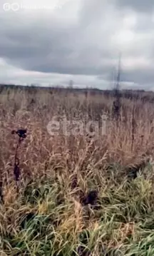 Участок в Ярославский муниципальный округ, деревня Климовское (19.99 ...