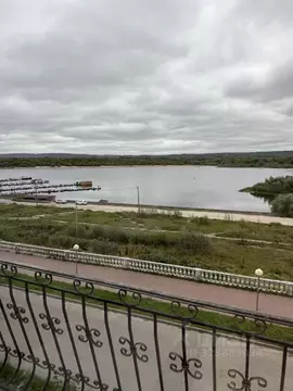 1-к кв. Нижегородская область, Дзержинск Прибрежная тер., наб. Окская, ...