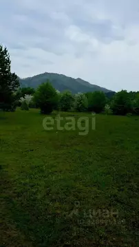 Участок в Алтай, Чемальский район, Узнезинское с/пос, с. Узнезя  (53.7 ...