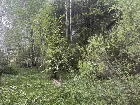 Участок в Московская область, Рузский муниципальный округ, пос. ...