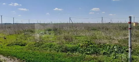 Участок в Тюменская область, Тюменский муниципальный округ, д. Большие ...