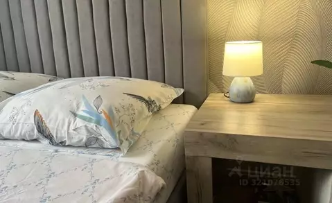 1-к кв. Забайкальский край, Чита ул. Журавлева, 100Б (30.0 м)