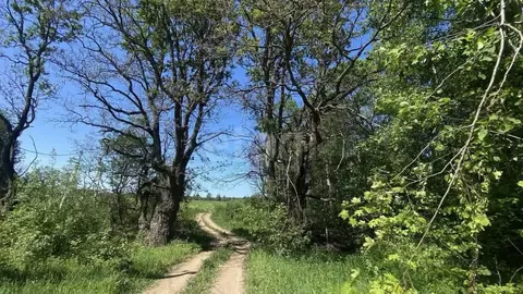 Участок в Московская область, Сергиево-Посадский городской округ, ДПК ...