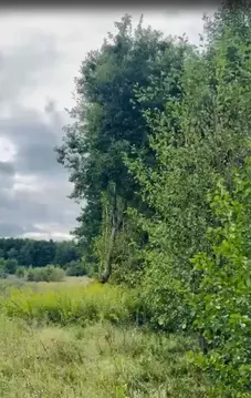 Участок в Калининградская область, Багратионовский муниципальный ...