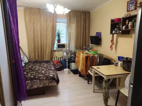 Комната Амурская область, Благовещенск ул. 50 лет Октября, 210/2 (10.0 ...