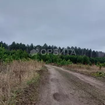 Участок в Тюменская область, Тюменский муниципальный округ, Пятница ...