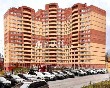 Студия Московская область, Дмитровский муниципальный округ, д. Целеево ...