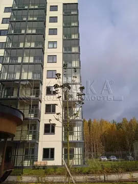 1-к кв. Ленинградская область, Всеволожский район, Заневское городское ...