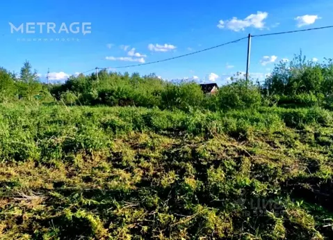 Участок в Новосибирская область, Колыванский район, Север ТСН 172 (7.5 ...