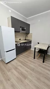 Квартира-студия: посёлок Шушары, улица Нины Петровой, 10к1 (24.9 м)