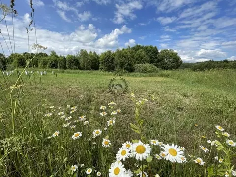 Участок в Калужская область, Юхновский район, Емельяновка с/пос, д. ...