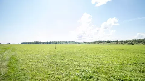 Участок в Томская область, Томский район, Журавли кп  (11.3 сот.)