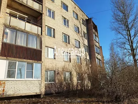 1-к кв. Ленинградская область, Выборг Приморское ш., 2Б (41.0 м)