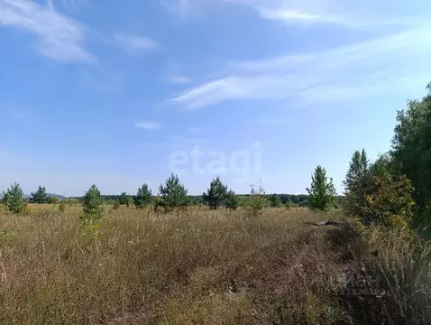Участок в Воронежская область, с. Новая Усмань ул. Фрунзе, 29 (100.0 ...