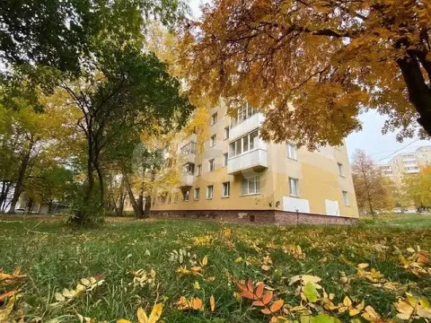1-к кв. Башкортостан, Уфа ул. Кирова, 95 (31.9 м)