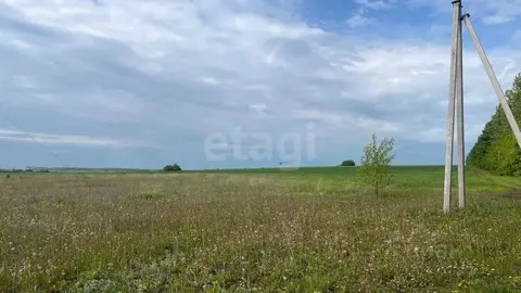 Участок в Татарстан, Лаишевский район, Чирповское с/пос, Богородский ...