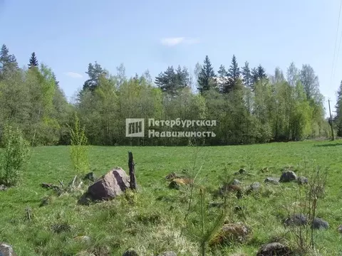 Участок в Ленинградская область, Выборгский район, Советское городское ...
