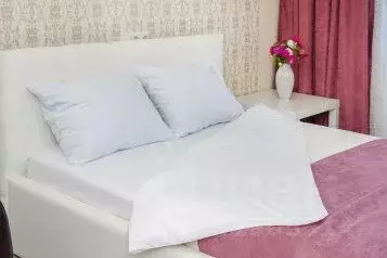 1-к кв. Воронежская область, Воронеж ул. Ворошилова, 1/3 (52.0 м)