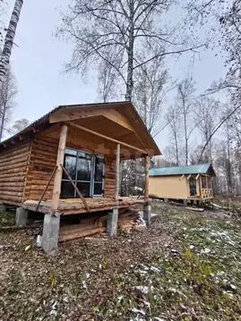 Участок в Алтайский край, Алтайский район, пос. Катунь Советская ул., ...