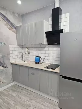 Студия Новосибирская область, Новосибирск Обская ул., 46/2 (35.0 м)