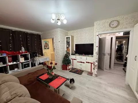 2-к кв. Санкт-Петербург Алтайская ул., 11 (44.2 м)