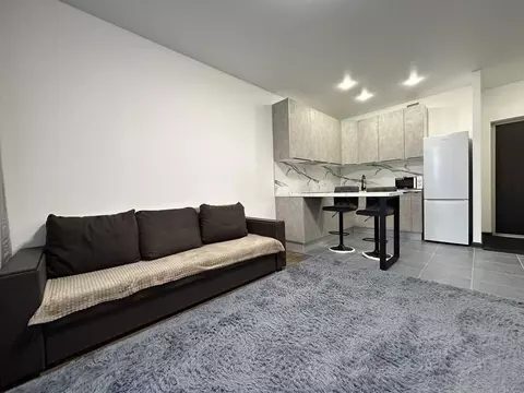 1-к кв. Московская область, Одинцово ул. Маршала Бирюзова, 7к1 (40.1 ...