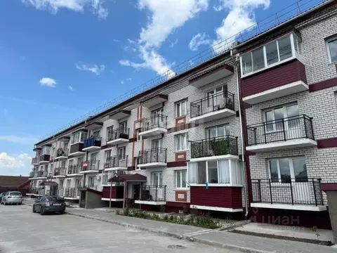 Студия Амурская область, Благовещенский район, с. Чигири ул. ...