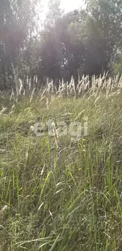 Участок в Калужская область, Перемышль с/пос, д. Поляна  (14.0 сот.)