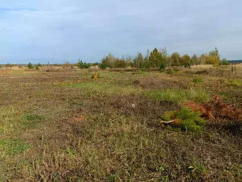 Участок в Тамбовская область, Тамбов ул. Имени Марины Цветаевой (7.5 ...