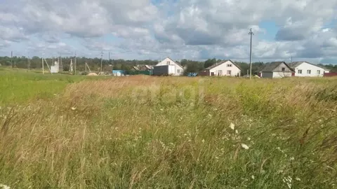 Участок в Брянская область, Трубчевск пер. 2-й Овражный (10.5 сот.)