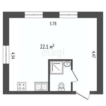Студия Санкт-Петербург пер. Майков, 4а (25.0 м)
