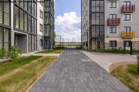 Студия Ленинградская область, Всеволожский район, Заневское городское ...