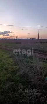 Участок в Крым, Сакский район, Молочненское с/пос, с. Витино ул. ...