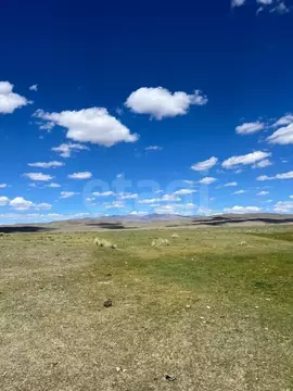 Участок в Алтай, с. Кош-Агач  (1250.0 сот.)