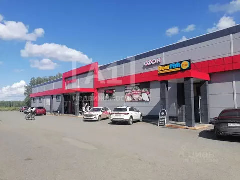 Помещение свободного назначения в Челябинская область, Сосновский ...